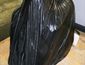 卢征远 《慢性》 黑色大理石 75x75x60cm 2011年