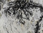 Zoon Beijing Bio no  1902  Acrylic and ink on Silk  200×240cm  2018